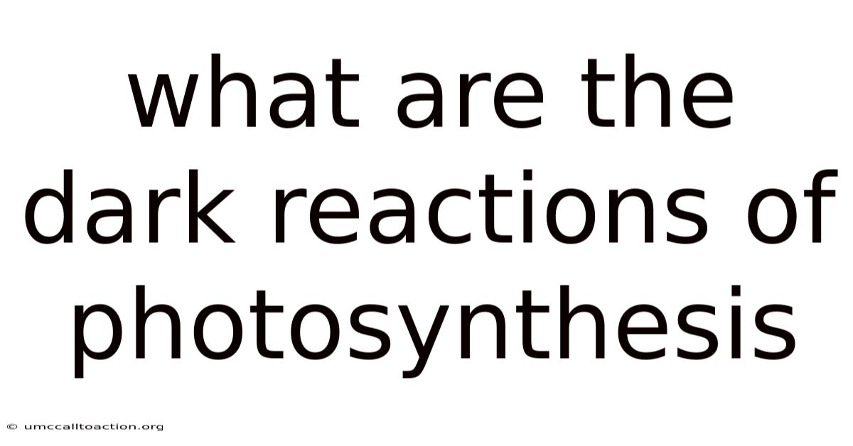 What Are The Dark Reactions Of Photosynthesis
