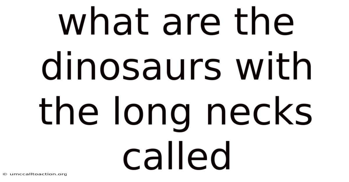 What Are The Dinosaurs With The Long Necks Called