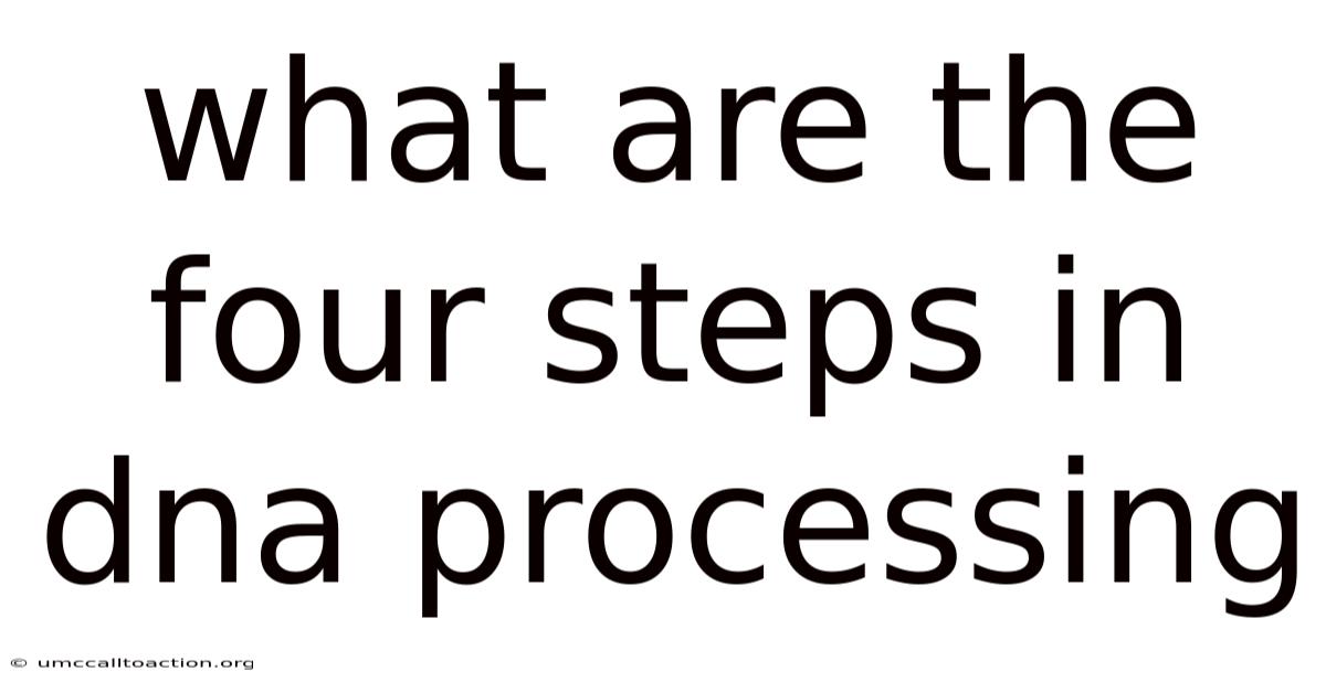 What Are The Four Steps In Dna Processing