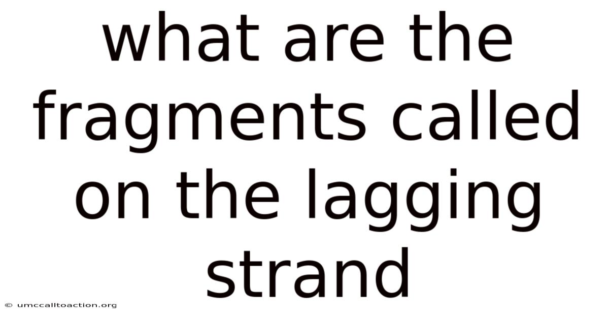 What Are The Fragments Called On The Lagging Strand