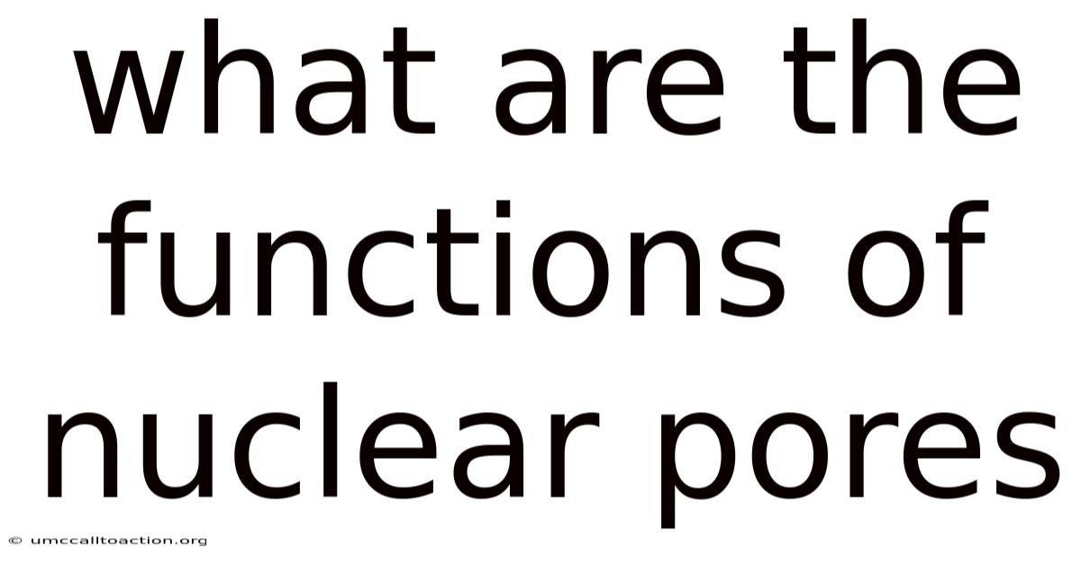 What Are The Functions Of Nuclear Pores