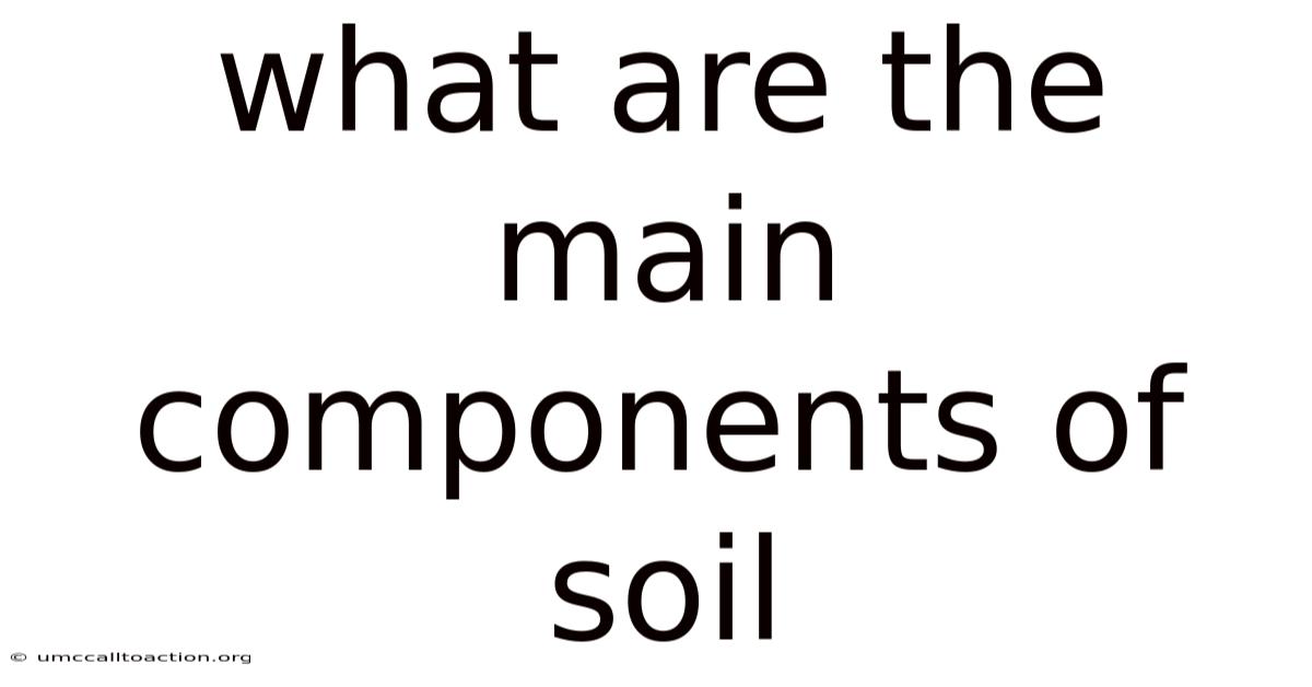 What Are The Main Components Of Soil