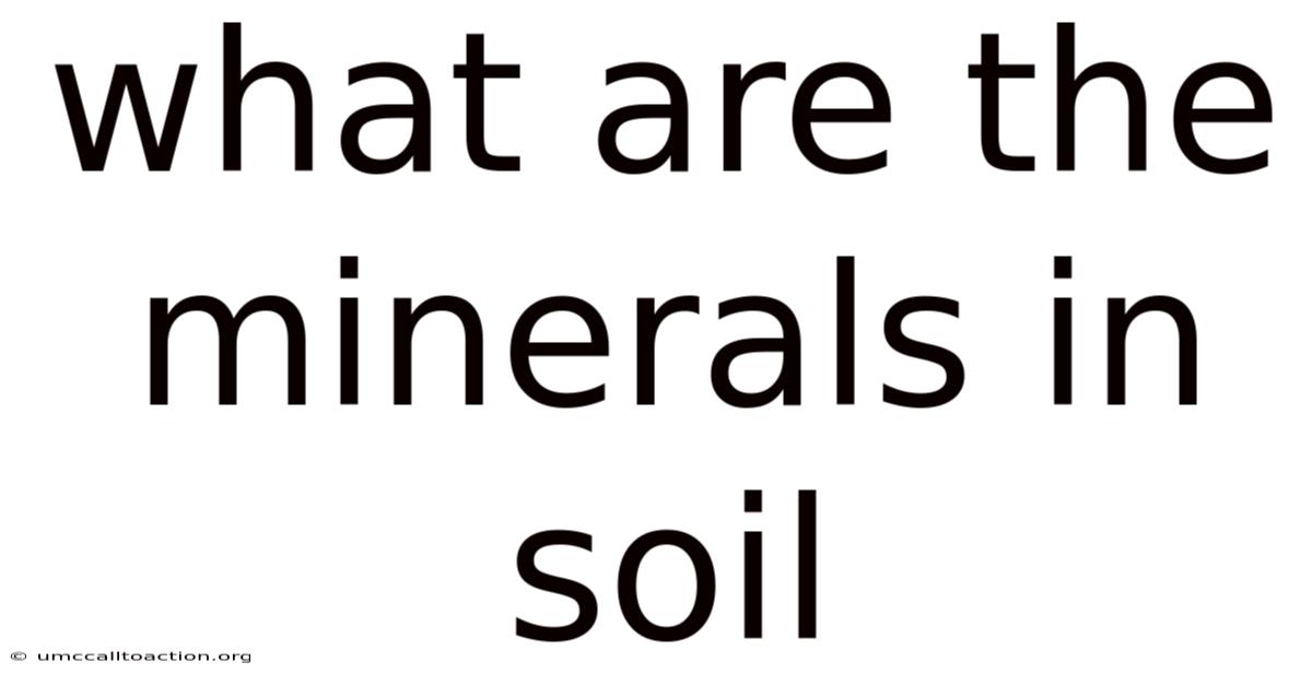 What Are The Minerals In Soil