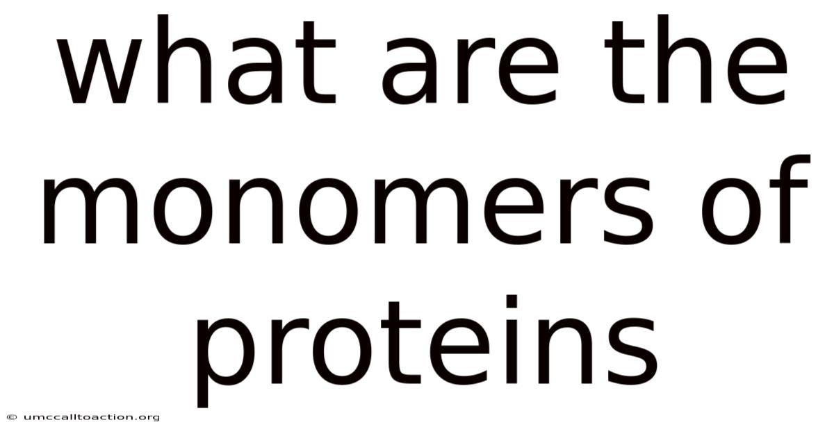 What Are The Monomers Of Proteins