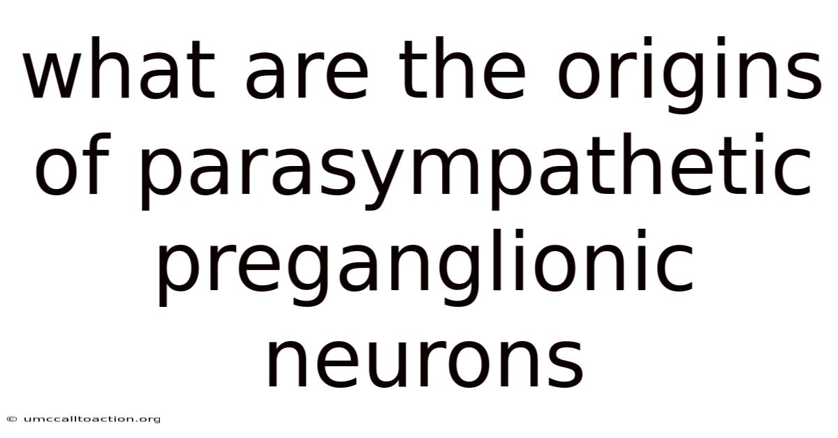 What Are The Origins Of Parasympathetic Preganglionic Neurons
