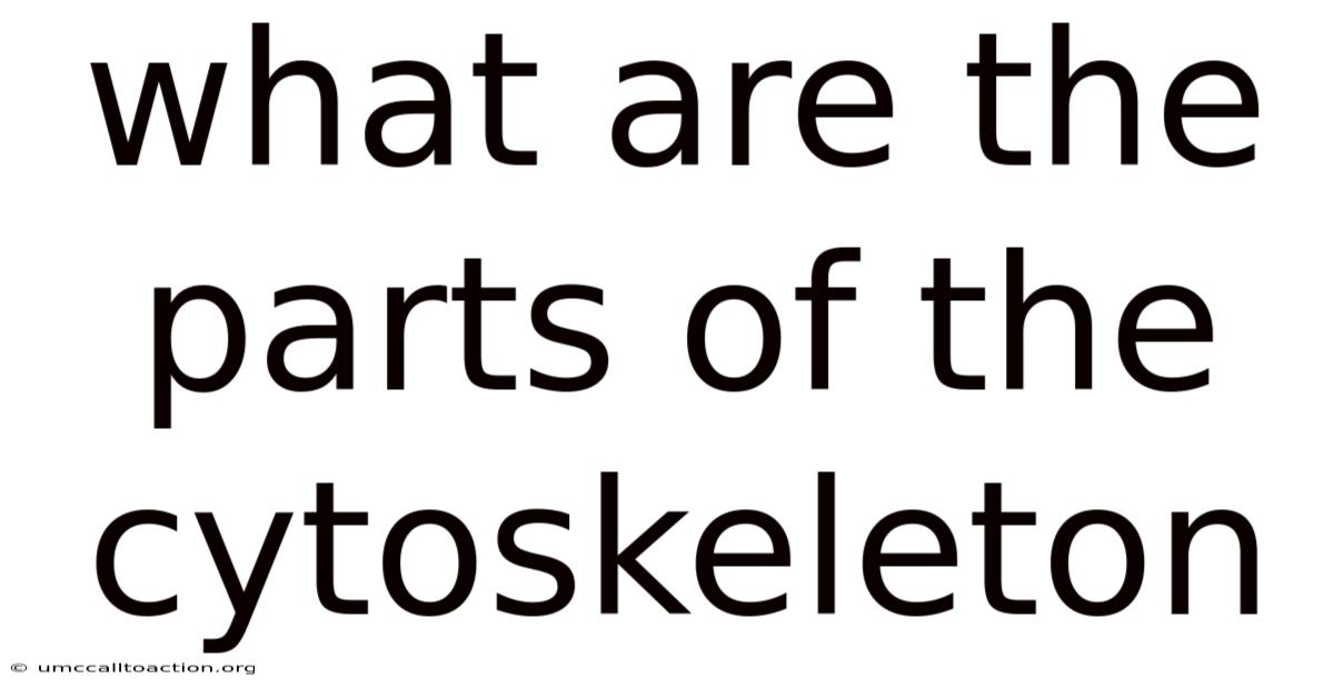 What Are The Parts Of The Cytoskeleton