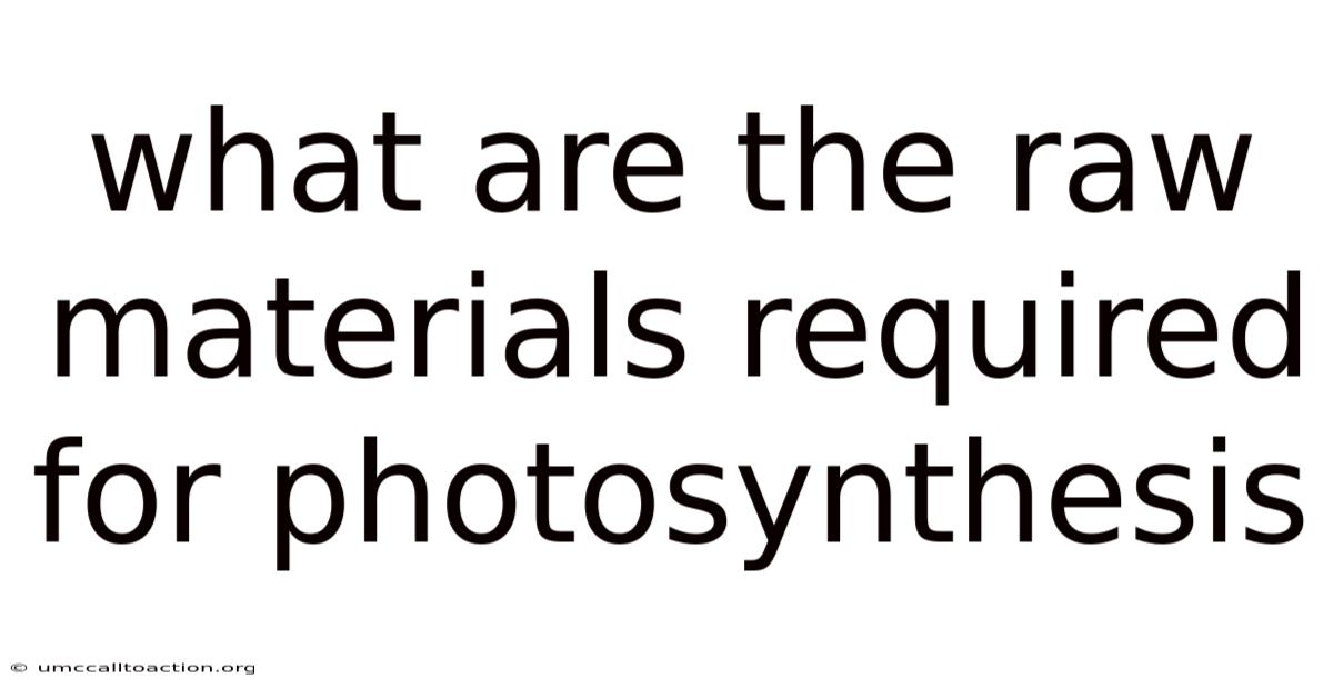 What Are The Raw Materials Required For Photosynthesis
