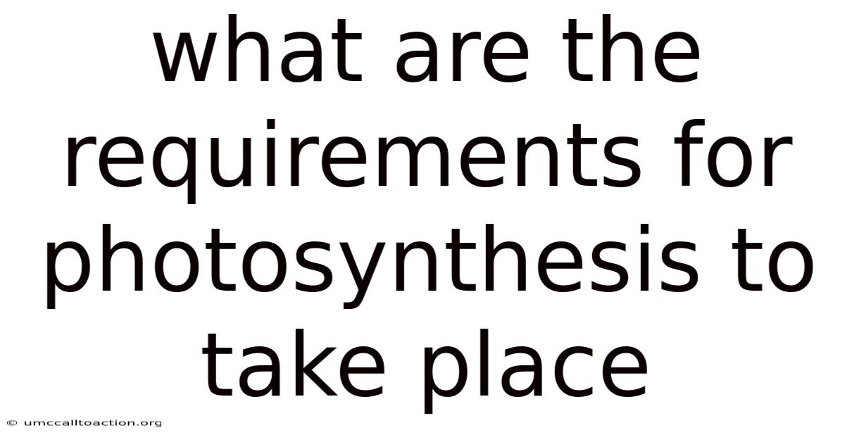 What Are The Requirements For Photosynthesis To Take Place