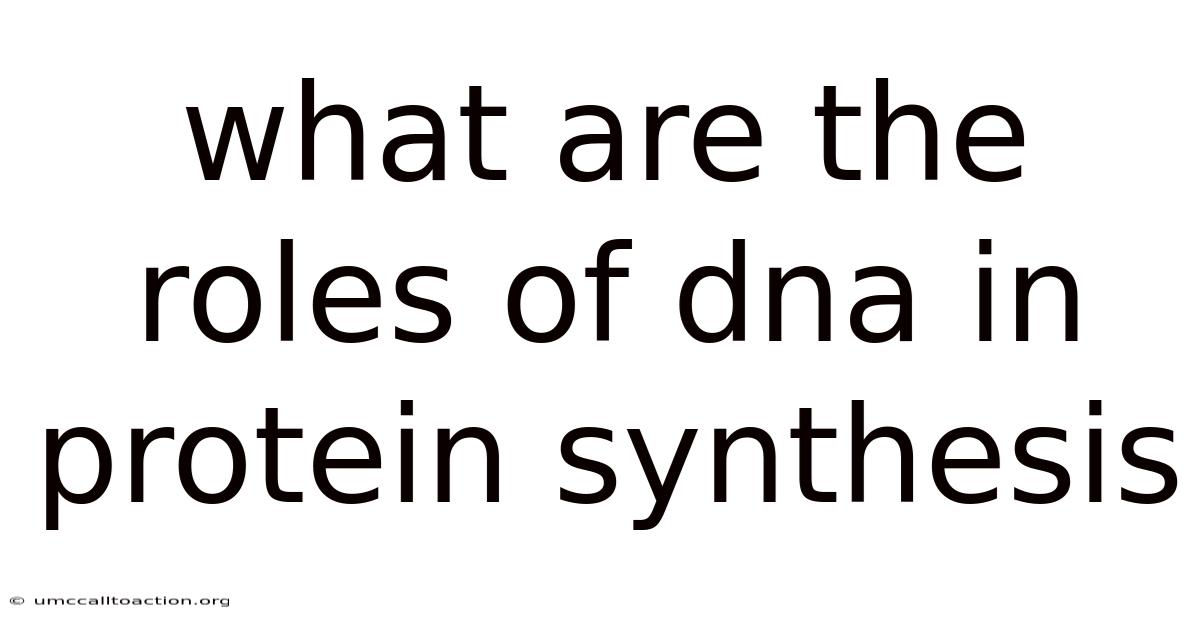 What Are The Roles Of Dna In Protein Synthesis