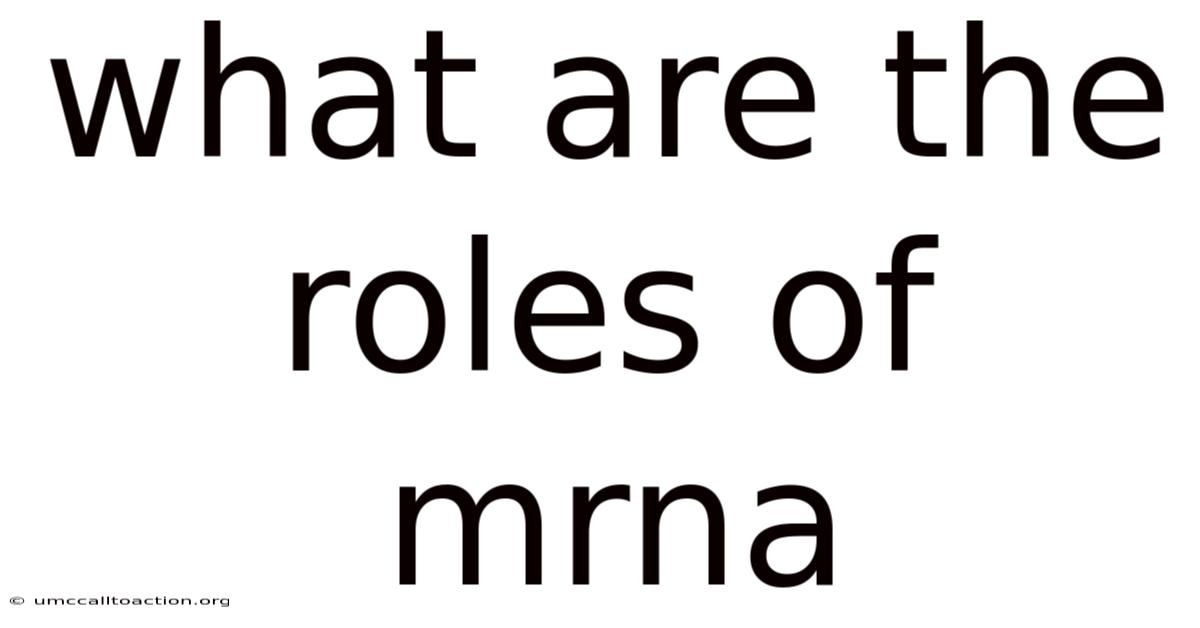 What Are The Roles Of Mrna