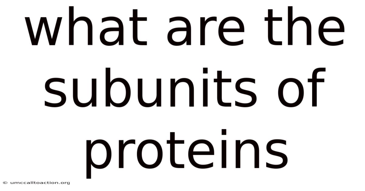 What Are The Subunits Of Proteins