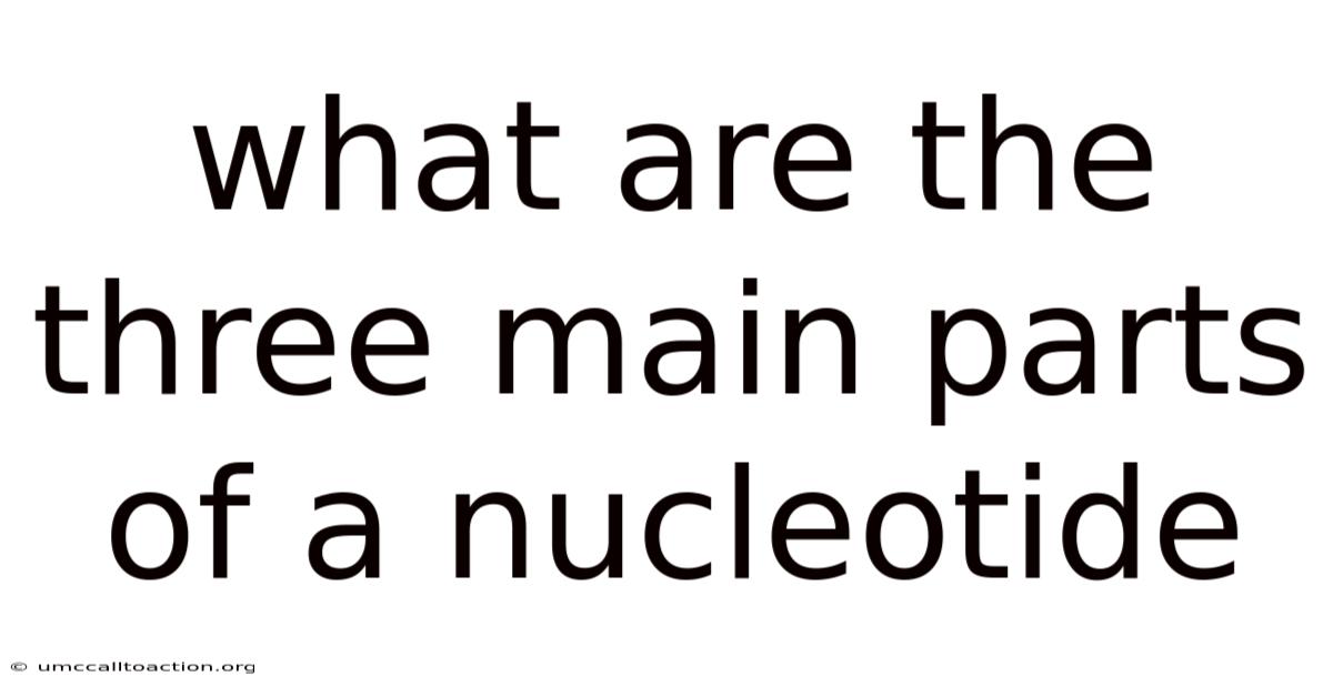 What Are The Three Main Parts Of A Nucleotide
