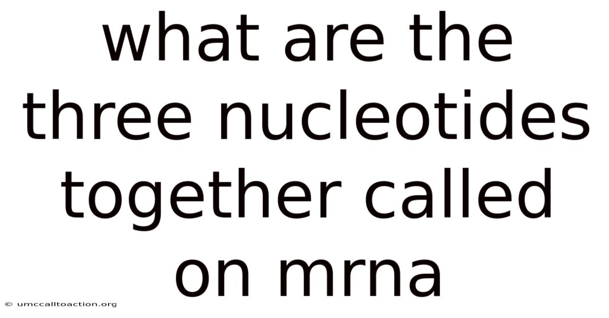 What Are The Three Nucleotides Together Called On Mrna