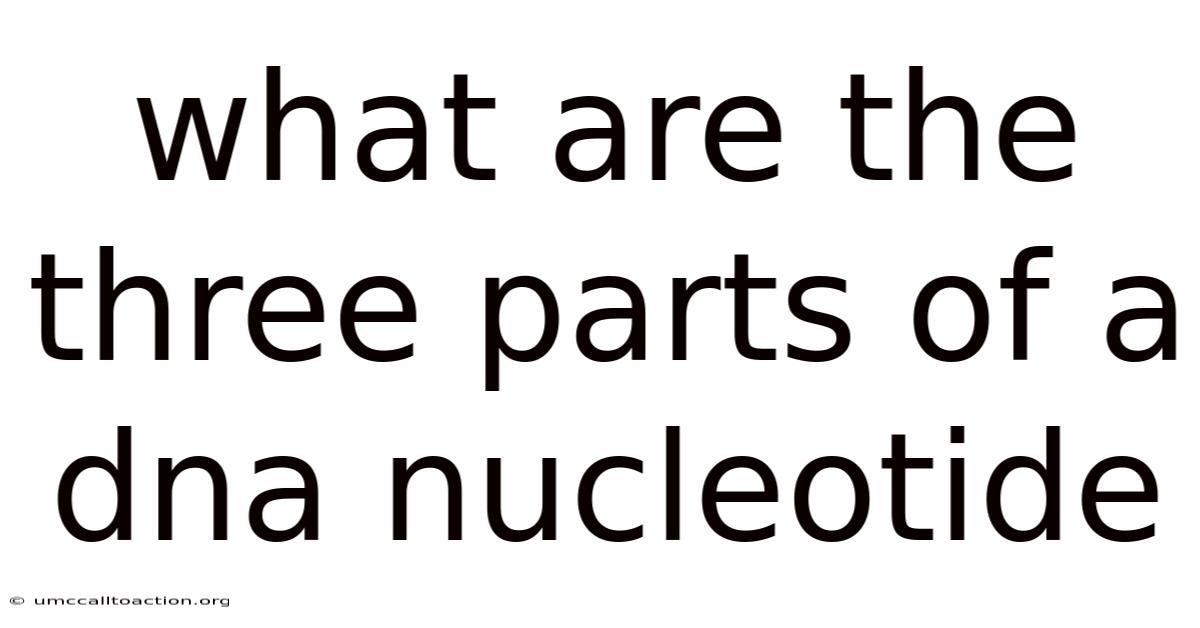 What Are The Three Parts Of A Dna Nucleotide