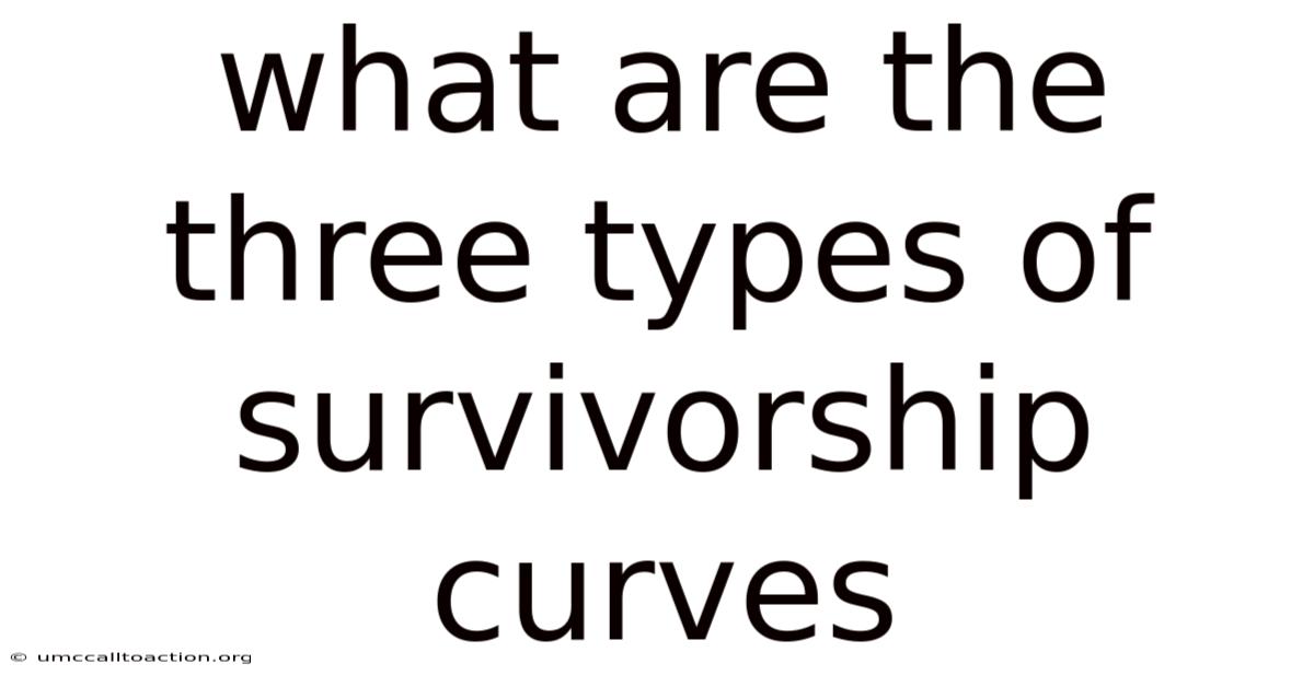 What Are The Three Types Of Survivorship Curves