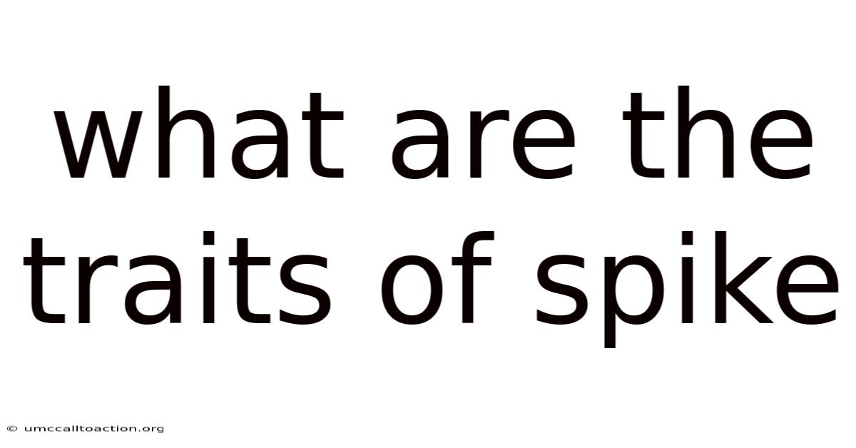 What Are The Traits Of Spike