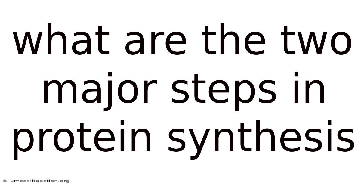 What Are The Two Major Steps In Protein Synthesis