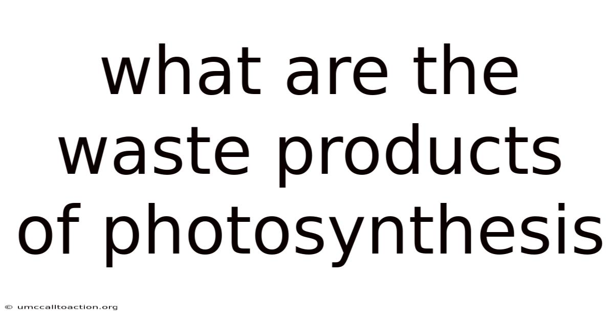 What Are The Waste Products Of Photosynthesis