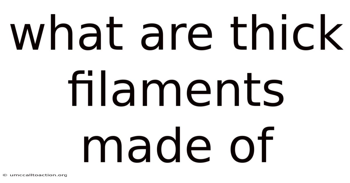 What Are Thick Filaments Made Of