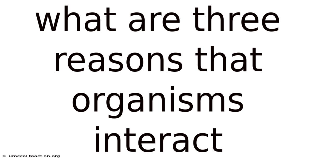 What Are Three Reasons That Organisms Interact