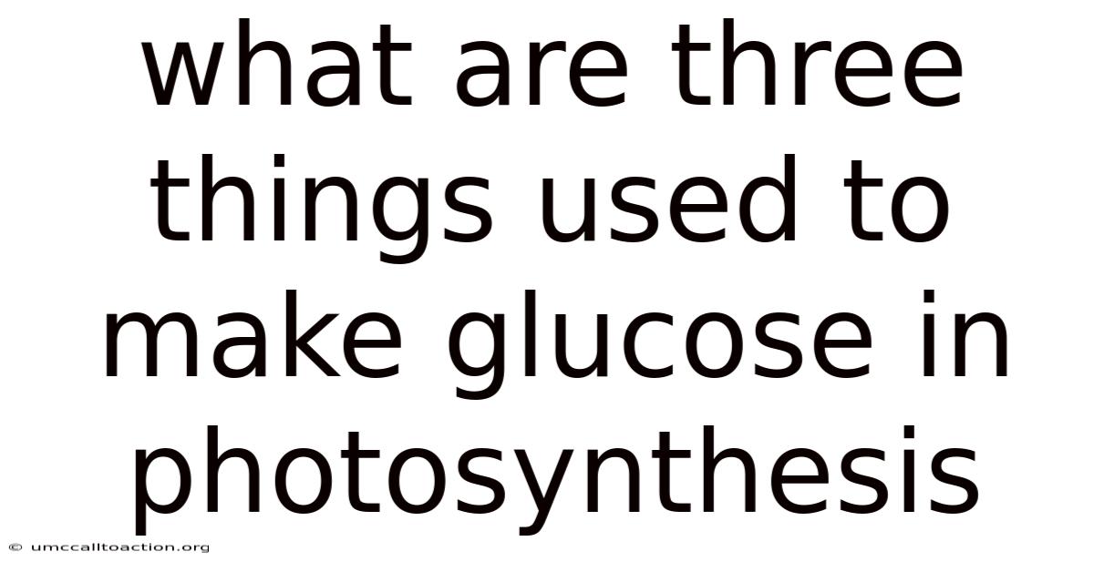 What Are Three Things Used To Make Glucose In Photosynthesis