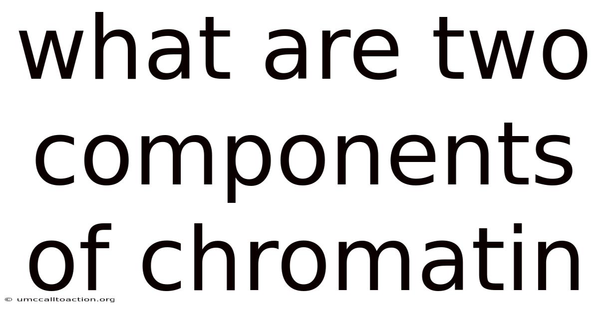 What Are Two Components Of Chromatin