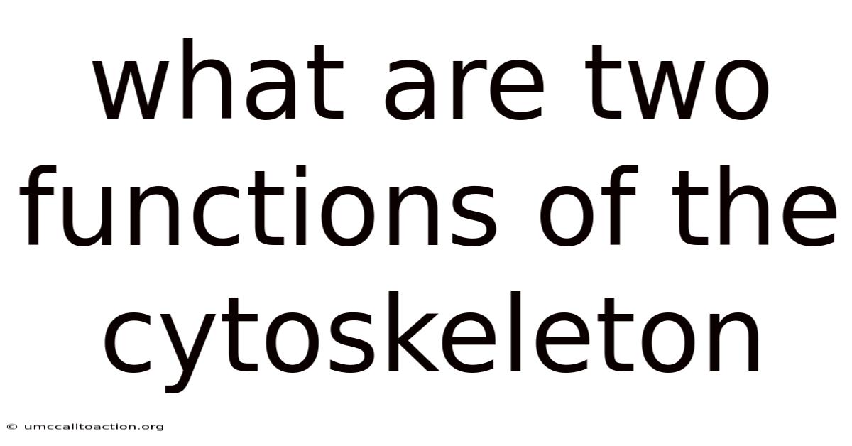 What Are Two Functions Of The Cytoskeleton
