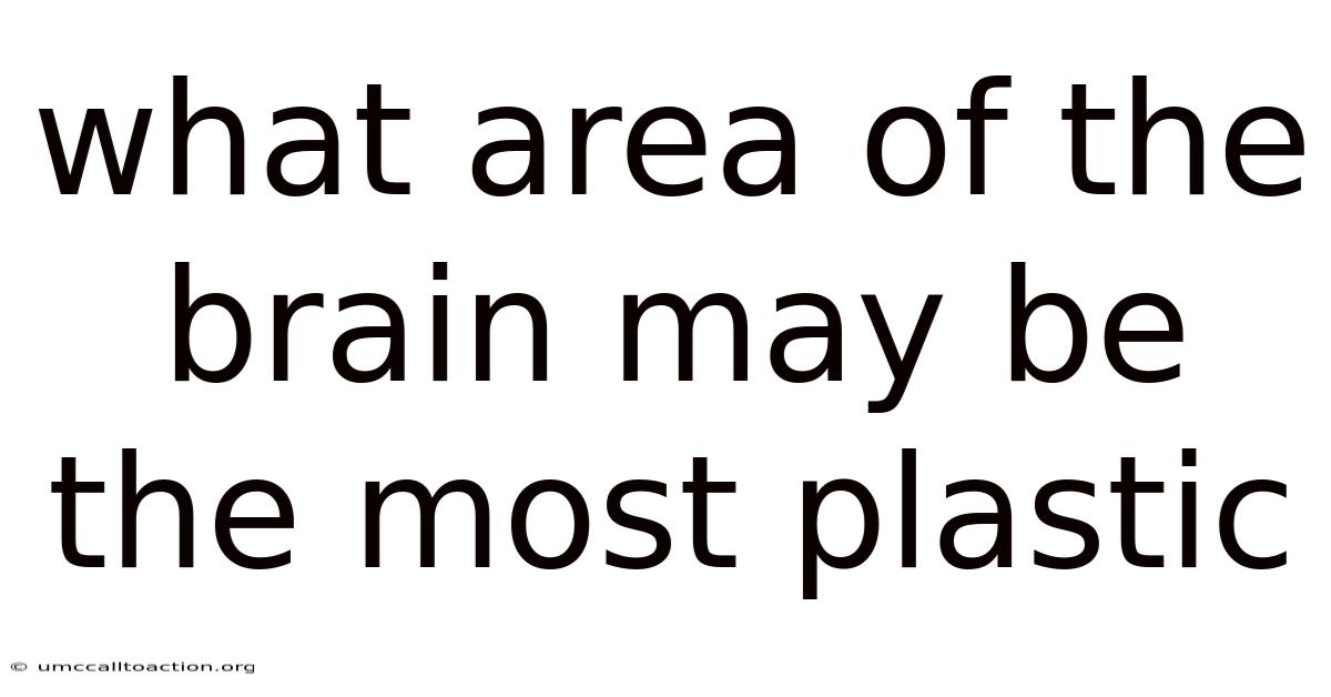 What Area Of The Brain May Be The Most Plastic