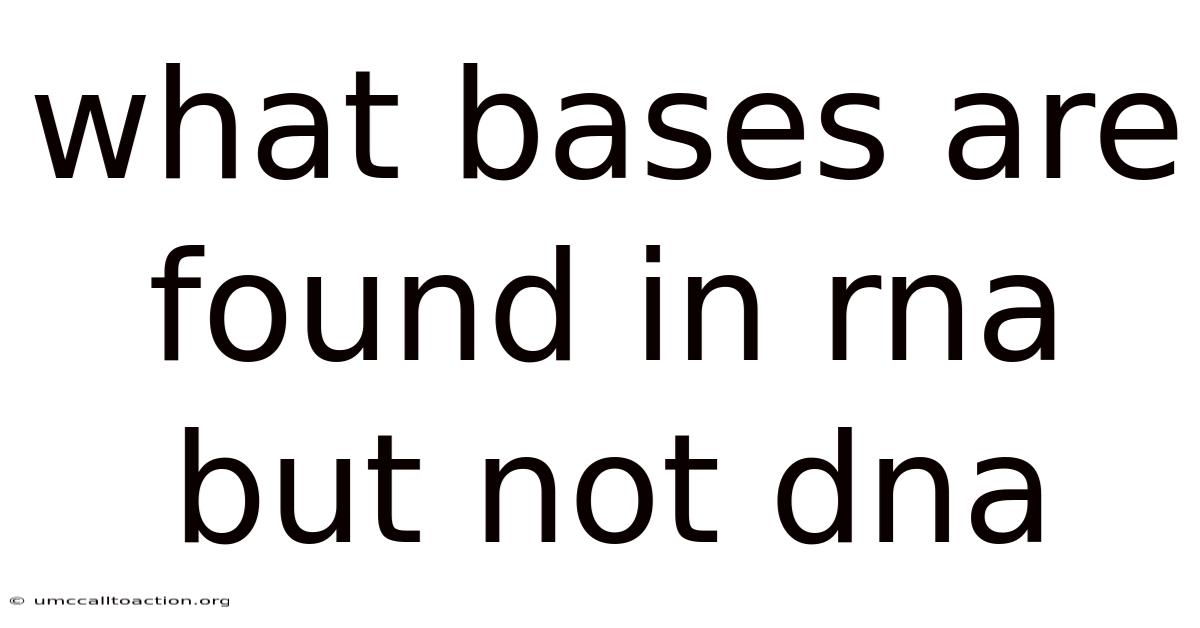 What Bases Are Found In Rna But Not Dna