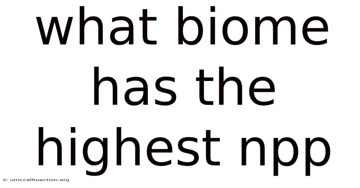 What Biome Has The Highest Npp