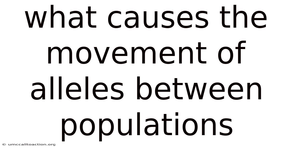 What Causes The Movement Of Alleles Between Populations