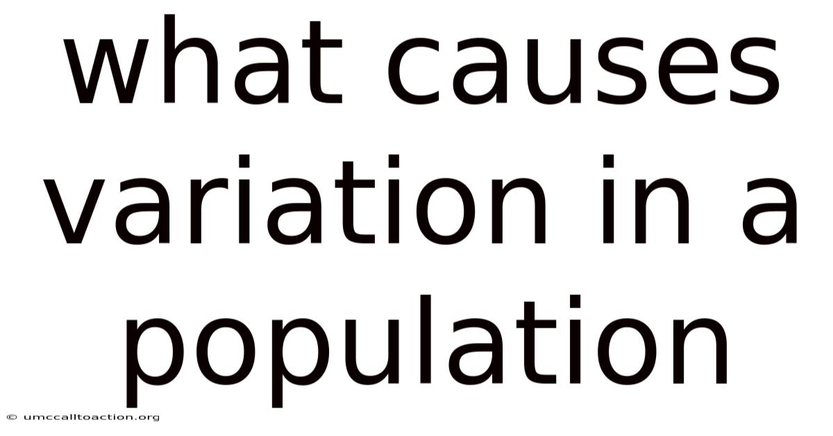 What Causes Variation In A Population