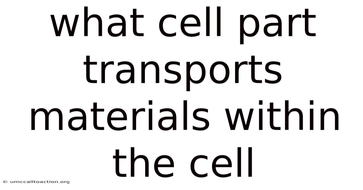 What Cell Part Transports Materials Within The Cell