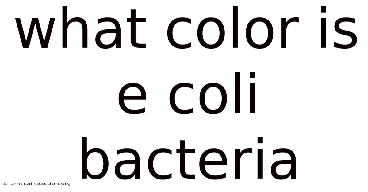 What Color Is E Coli Bacteria