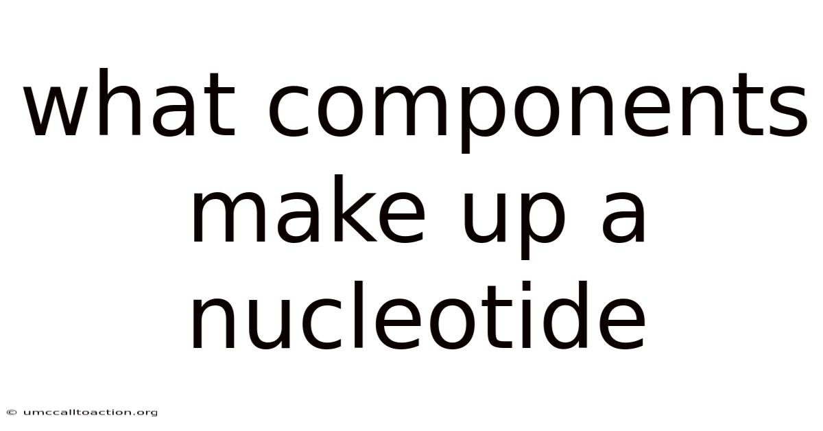 What Components Make Up A Nucleotide