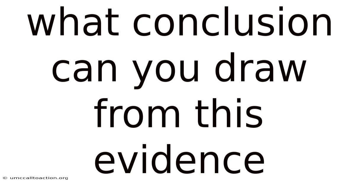 What Conclusion Can You Draw From This Evidence