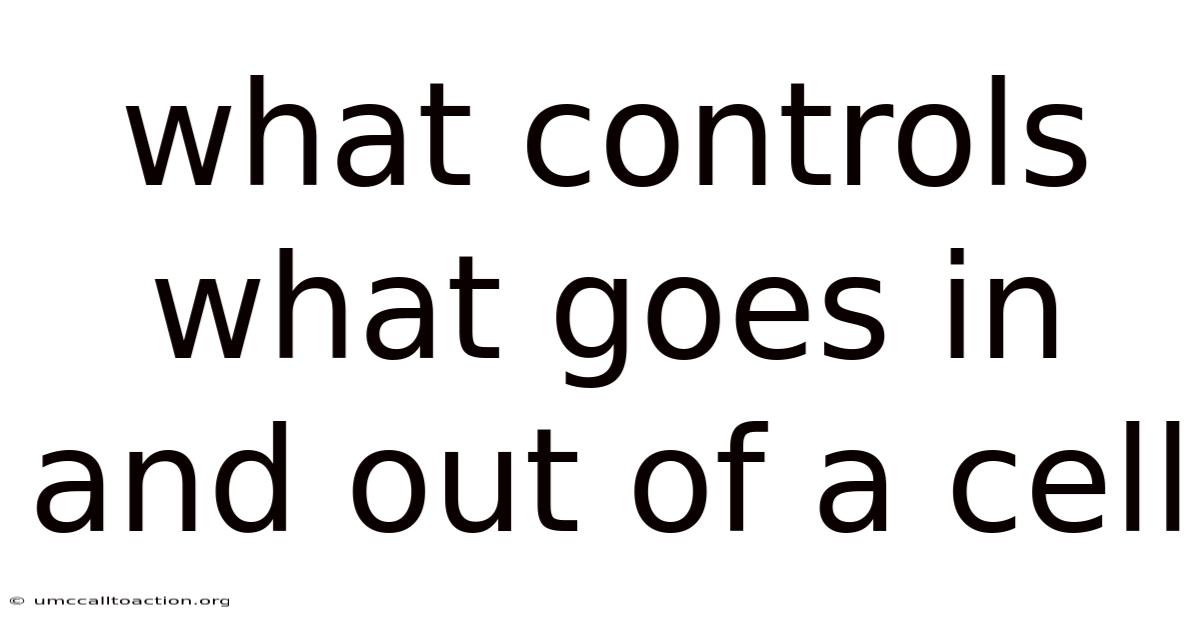 What Controls What Goes In And Out Of A Cell