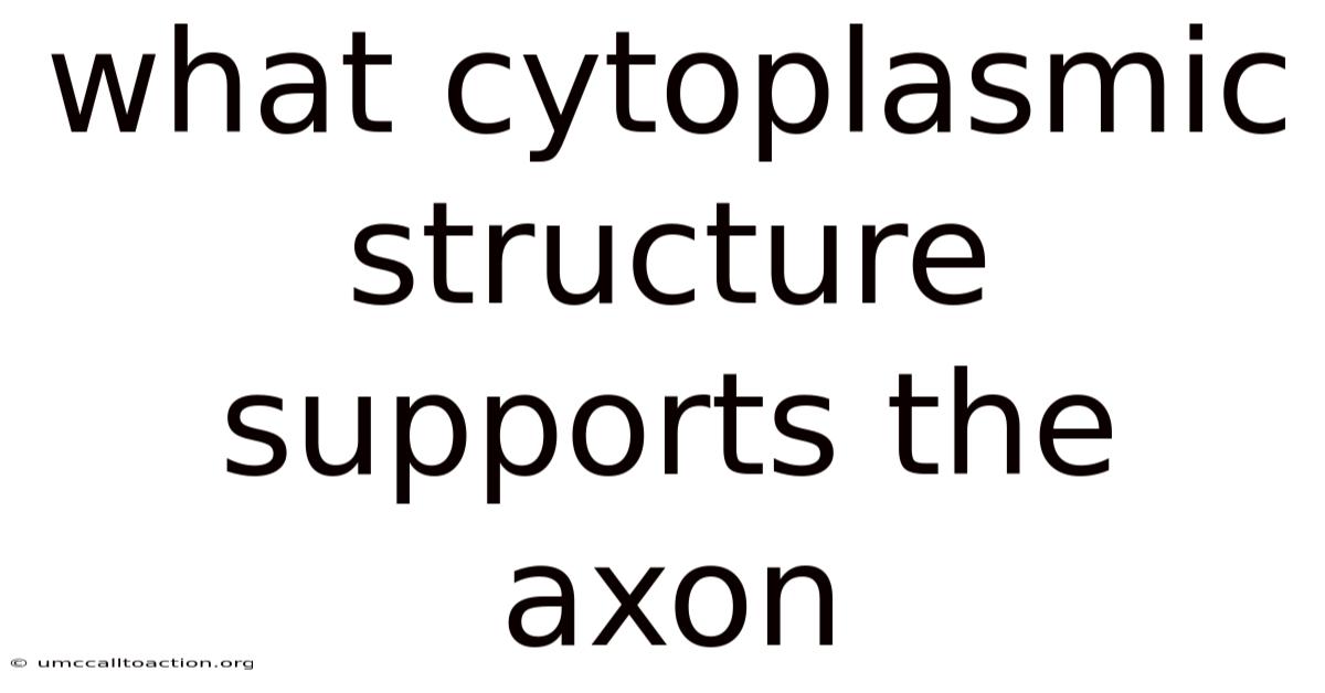 What Cytoplasmic Structure Supports The Axon