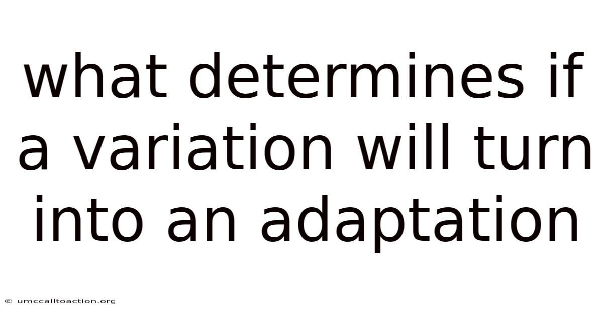 What Determines If A Variation Will Turn Into An Adaptation