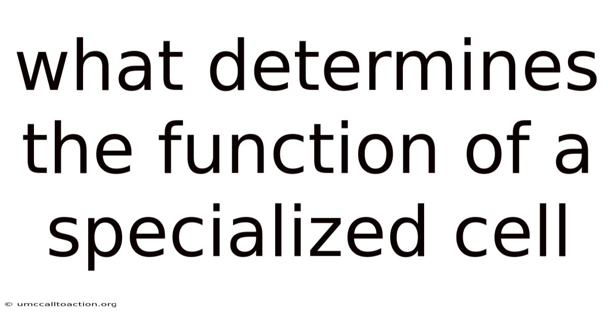 What Determines The Function Of A Specialized Cell