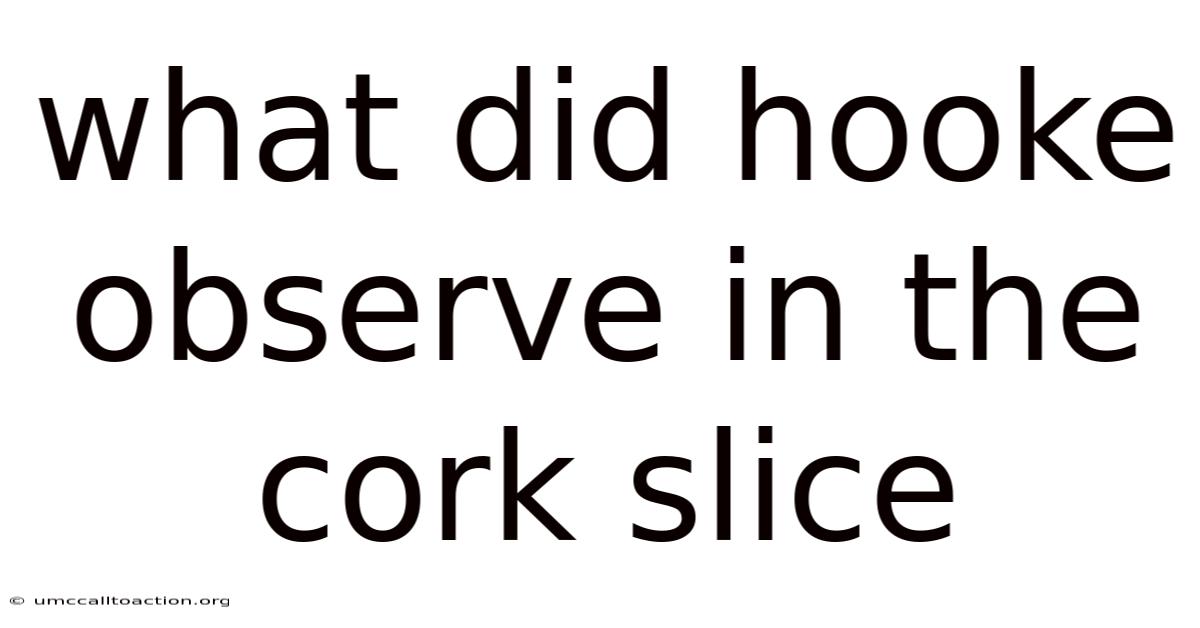 What Did Hooke Observe In The Cork Slice