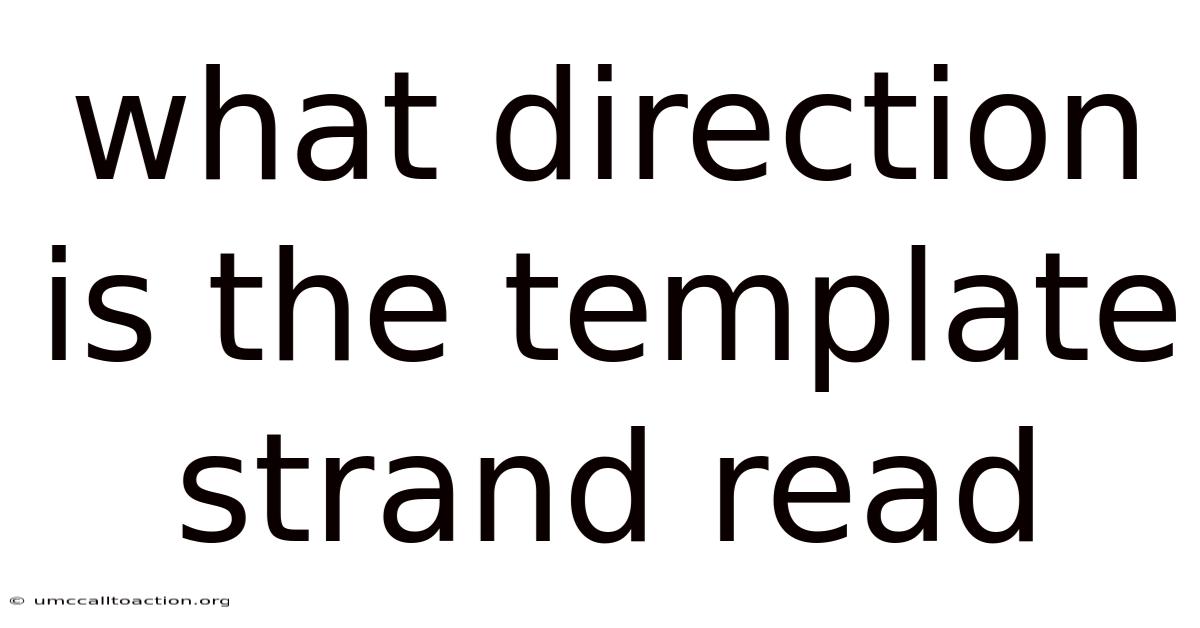What Direction Is The Template Strand Read