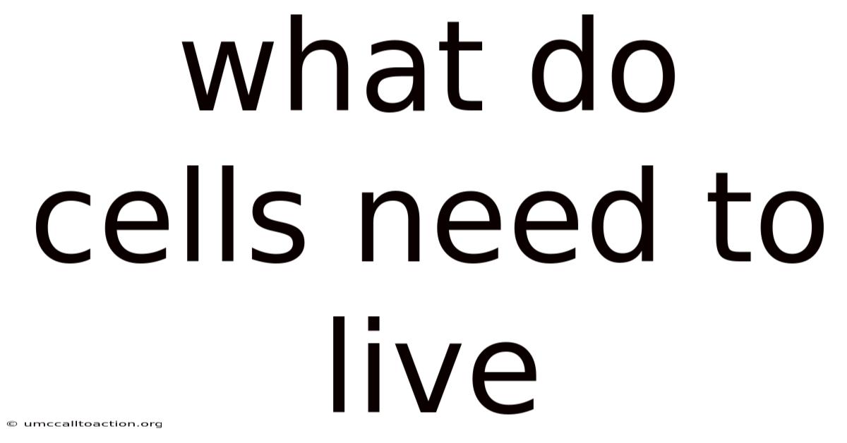 What Do Cells Need To Live