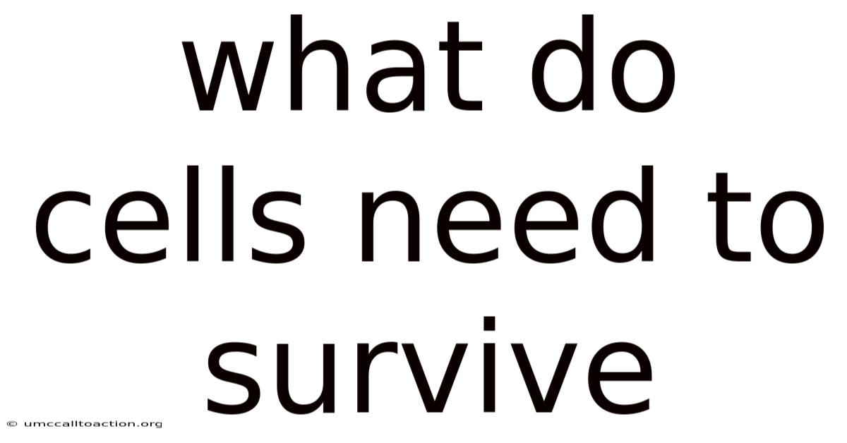 What Do Cells Need To Survive