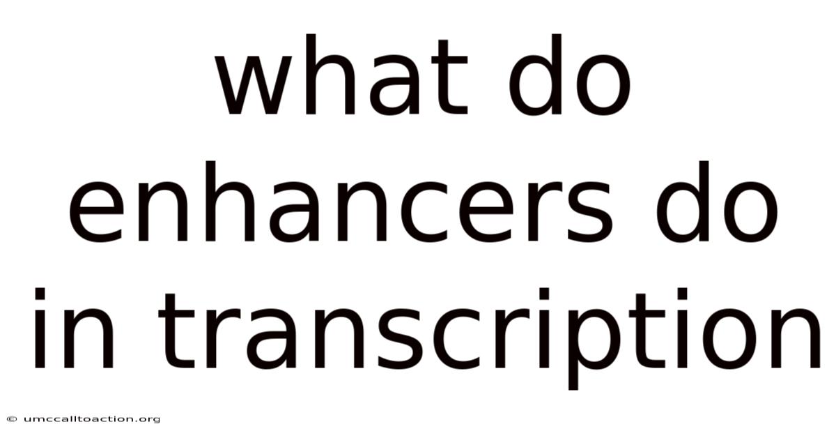 What Do Enhancers Do In Transcription