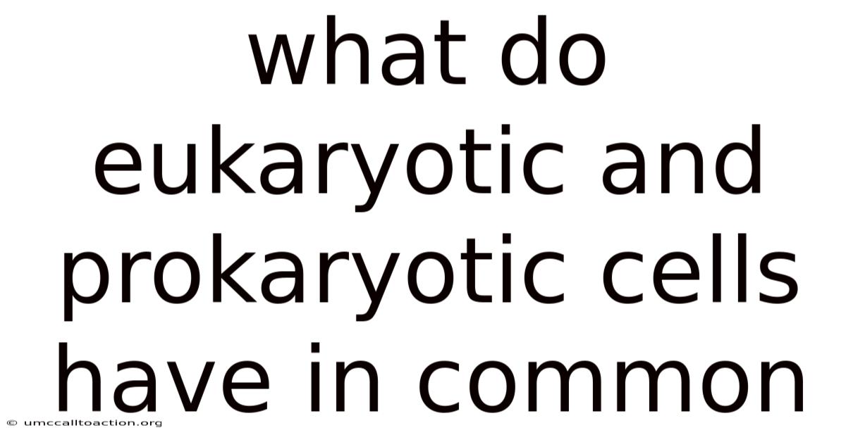 What Do Eukaryotic And Prokaryotic Cells Have In Common