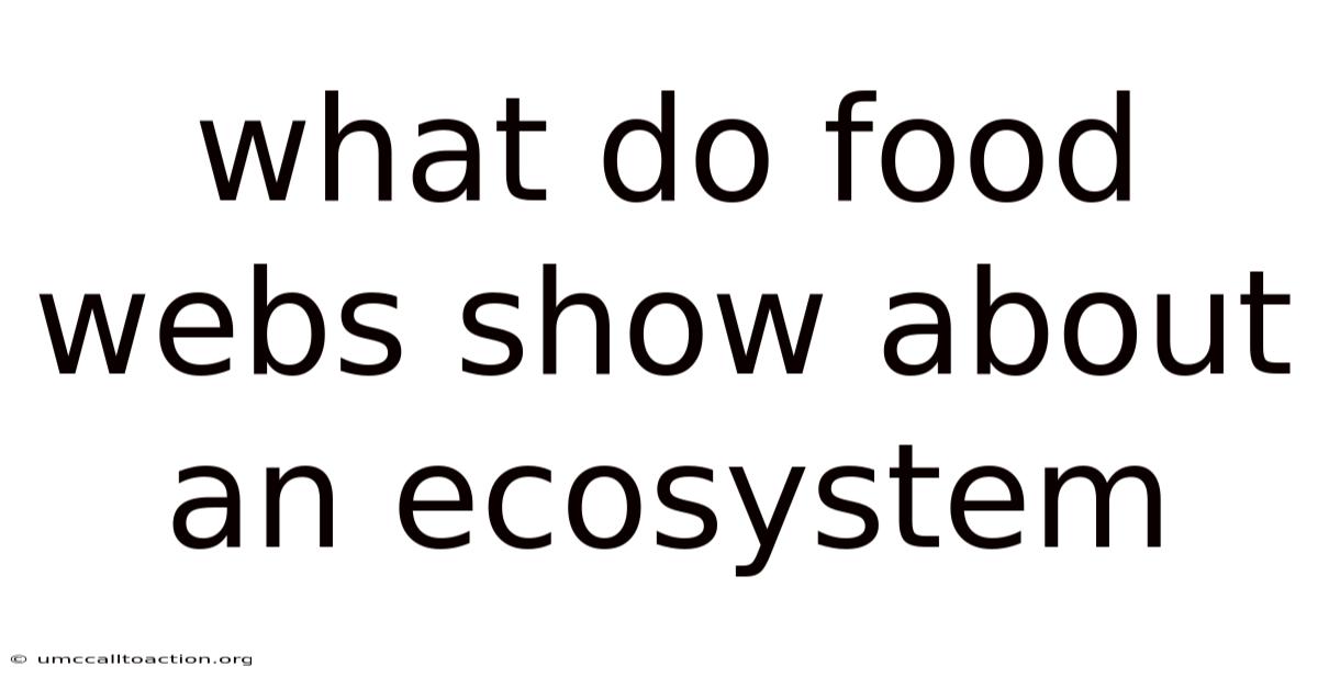 What Do Food Webs Show About An Ecosystem