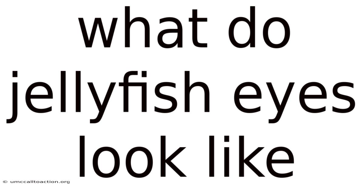 What Do Jellyfish Eyes Look Like