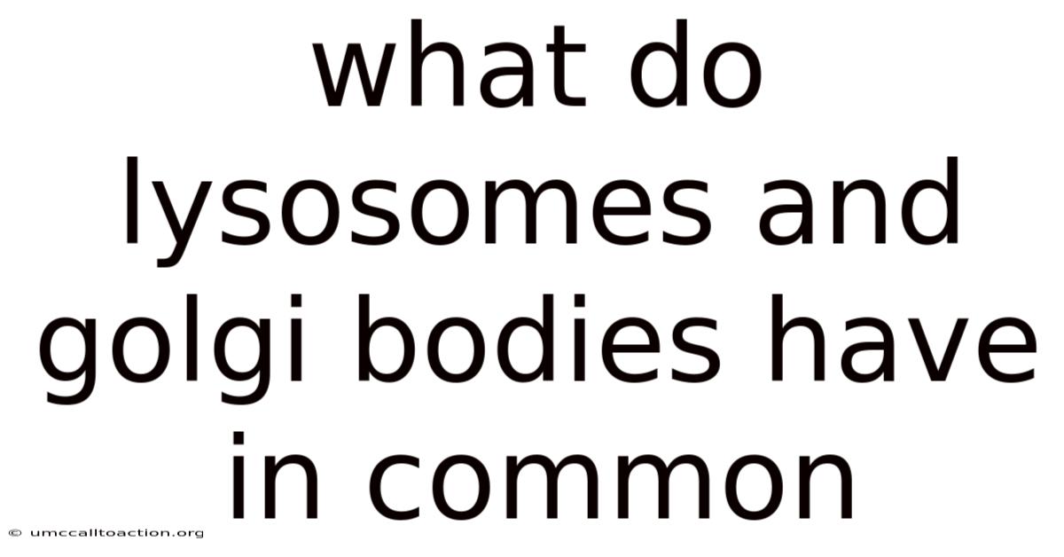What Do Lysosomes And Golgi Bodies Have In Common