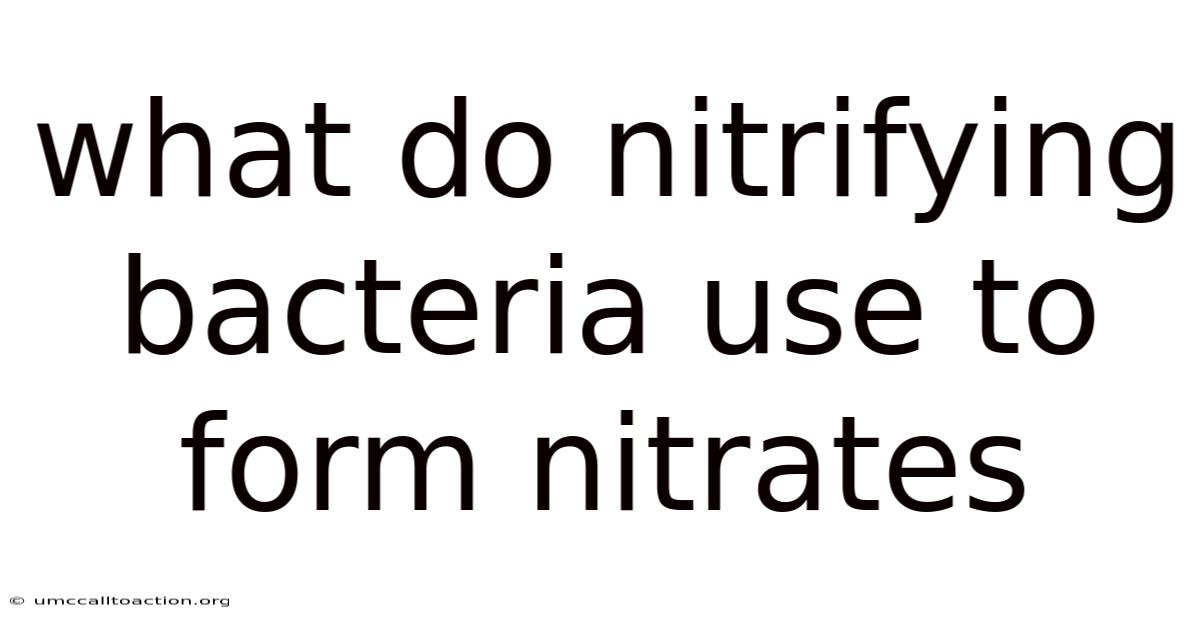 What Do Nitrifying Bacteria Use To Form Nitrates